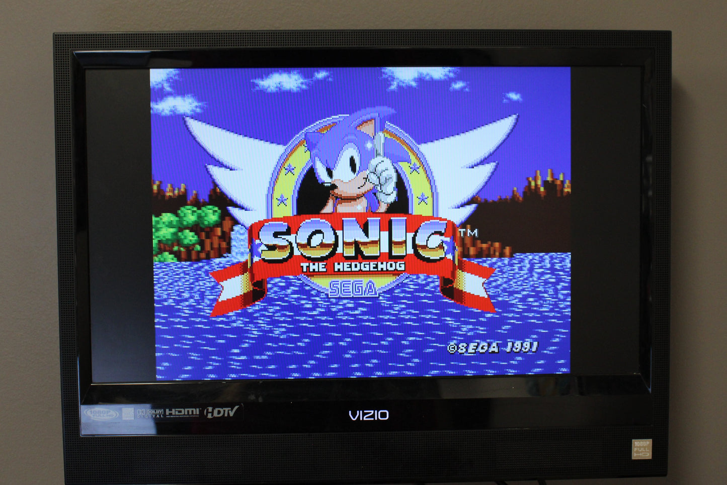 Sonic The Hedgehog (Sega Genesis, 1991) CIB W/Manual, Retail Version!