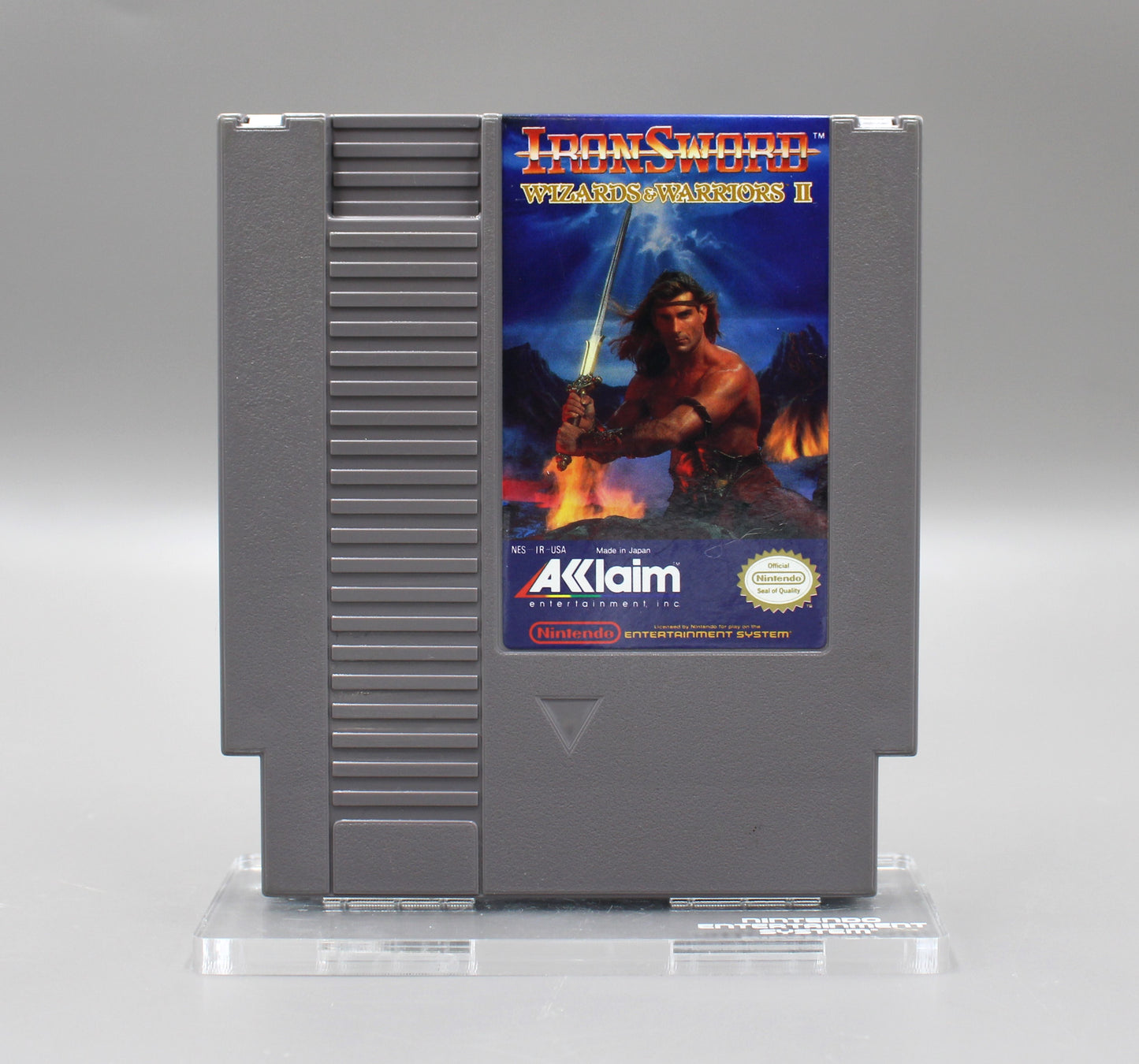 Ironsword: Wizards & Warriors II